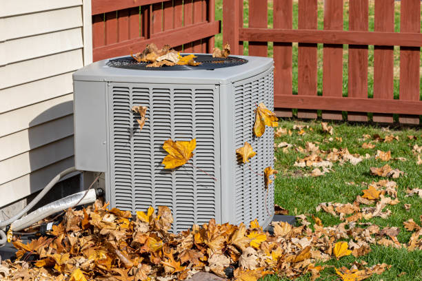 Best Air quality test  in Durant, IA